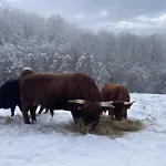 Eco-grange Au Milieu De Notre Ferme Biologique O'naturel Дом отдыха Massat