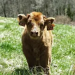 Eco-grange Au Milieu De Notre Ferme Biologique O'naturel Holiday home
