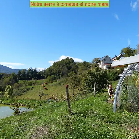 Eco-grange Au Milieu De Notre Ferme Biologique O'naturel Avec Sa Mare Et Son Ruisseau