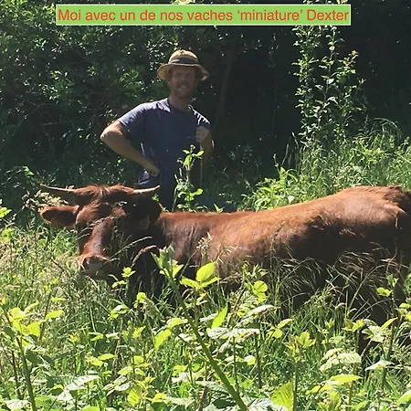 Eco-grange Au Milieu De Notre Ferme Biologique O'naturel Avec Sa Mare Et Son Ruisseau 別荘 *