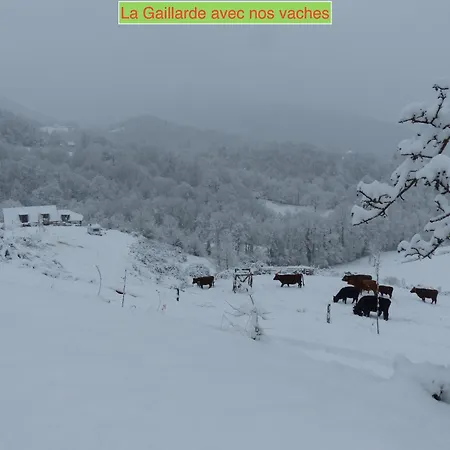 Eco-grange Au Milieu De Notre Ferme Biologique O'naturel Avec Sa Mare Et Son Ruisseau 別荘 Massat