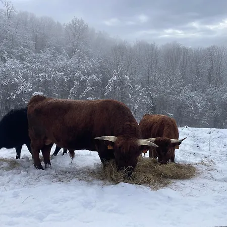 Eco-grange Au Milieu De Notre Ferme Biologique O'naturel Feriehus Massat