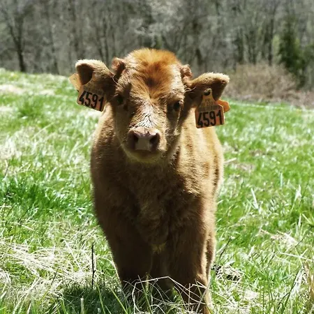 Eco-grange Au Milieu De Notre Ferme Biologique O'naturel Feriehus