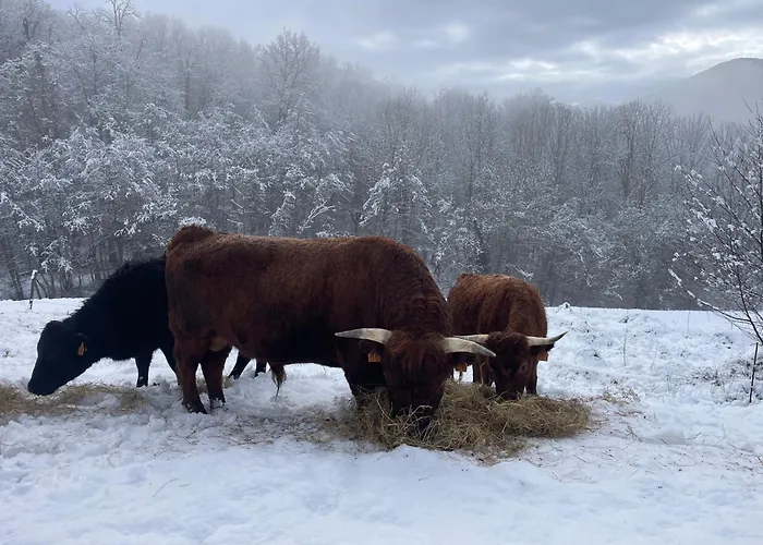 Eco-grange Au Milieu De Notre Ferme Biologique O'naturel 펜션 Massat